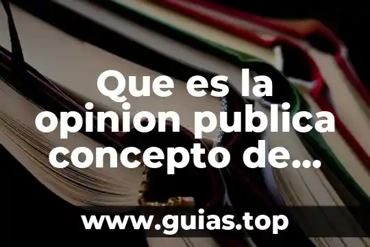 Opinion de michael rojkind sobre que es ser un arquitecto 4 Que es la opinion publica concepto de juan ignacio rospir