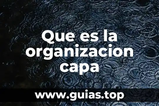 Qué es cdma en organización de computadoras 5 Que es la organizacion capa