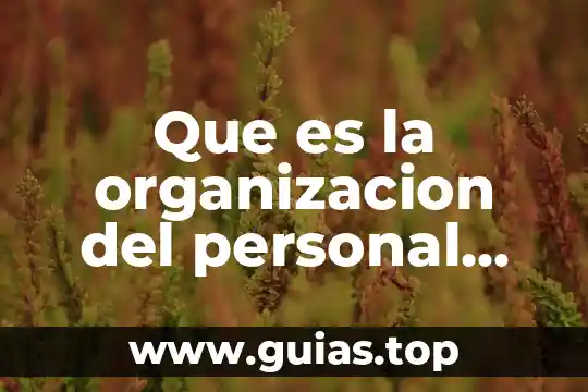 Para que es buena la coca cola 3 Que es la organizacion del personal para coca cola