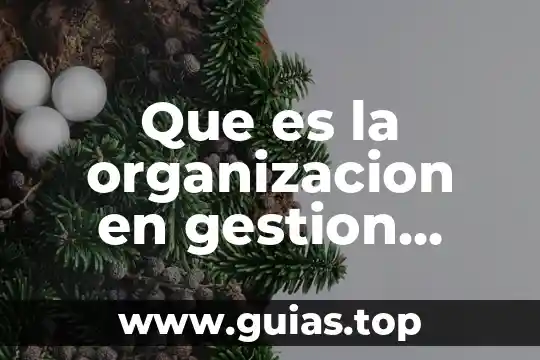 Qué es una organización económica definición 4 Que es la organizacion en gestion deportiva