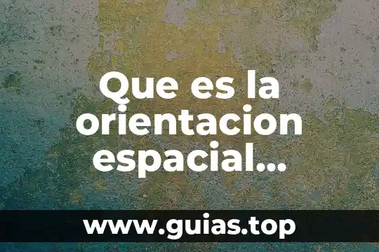 Que es la aptitud en orientacion educativa 5 Que es la orientacion espacial ejemplos