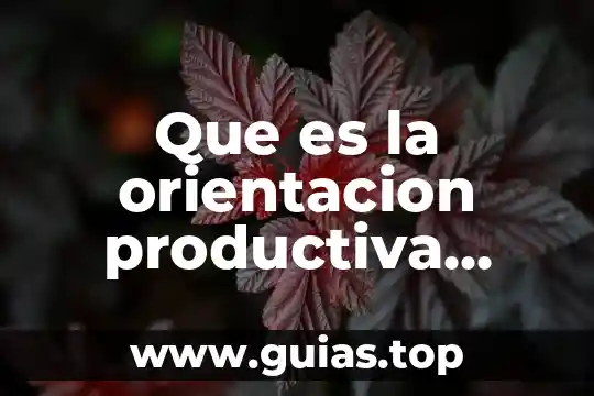 Que es la aptitud en orientacion educativa 3 Que es la orientacion productiva basica