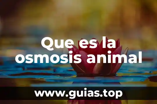 Que es un animal en peligro de extinciones 4 Que es la osmosis animal