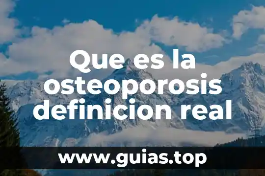 Qué es un equipo portuario definición 6 Que es la osteoporosis definicion real