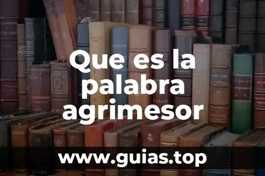 Qué es la palabra analogía 4 Que es la palabra agrimesor