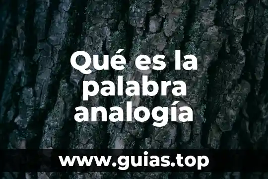 Que es la palabra agrimesor 8 Qué es la palabra analogía