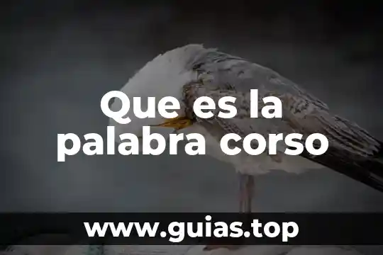 Que es la palabra corso