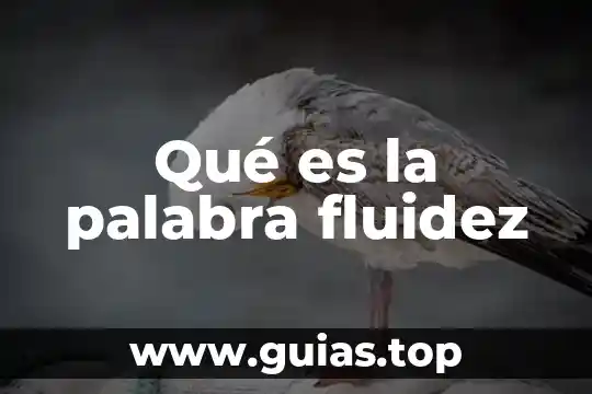 Qué es la palabra fluidez