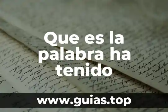Que es falda y que tipo de palabra es 3 Que es la palabra ha tenido