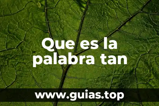 Por qué es tan bueno el lobo estepario 4 Que es la palabra tan
