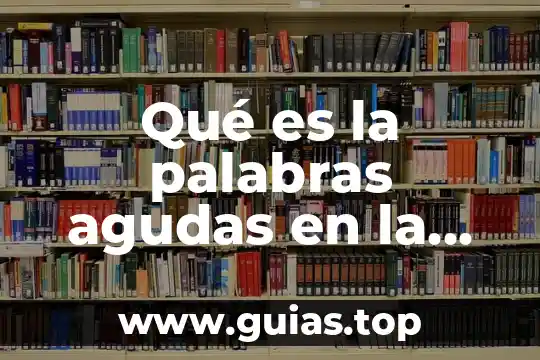 Palabras que es lo mismo pero con diferente nombre 4 Qué es la palabras agudas en la ortografía