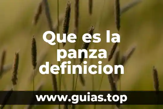 Qué es un equipo portuario definición 3 Que es la panza definicion