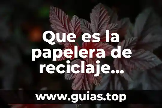 Que es el reciclaje ambiental 8 Que es la papelera de reciclaje informatica