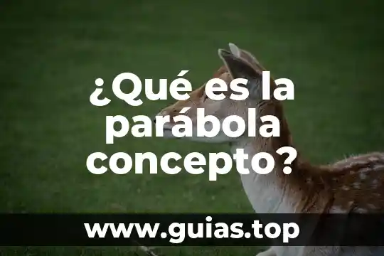 Qué es parábola concepto y ejemplos 6 ¿Qué es la parábola concepto?