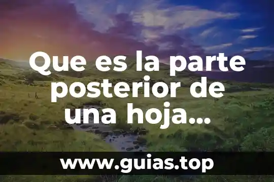 Que es el la hoja de la planta 5 Que es la parte posterior de una hoja blanca