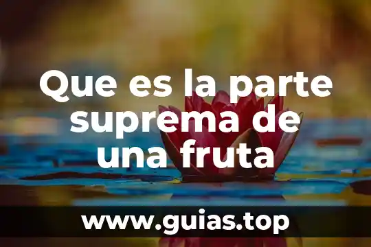 Que es capacidad segun la suprema corte de justicia 5 Que es la parte suprema de una fruta