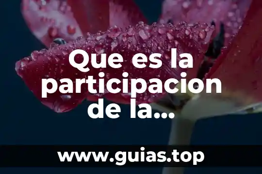 Que es ser de la comunidad lgbt 6 Que es la participacion de la comunidad