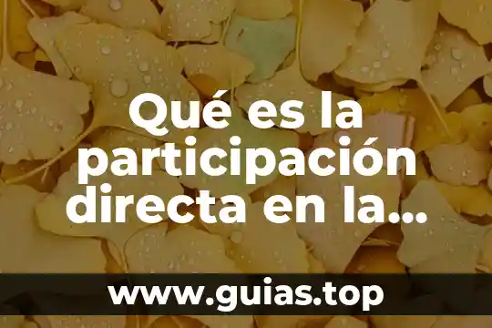 Que es un dial de sol 8 Qué es la participación directa en la gestión pública