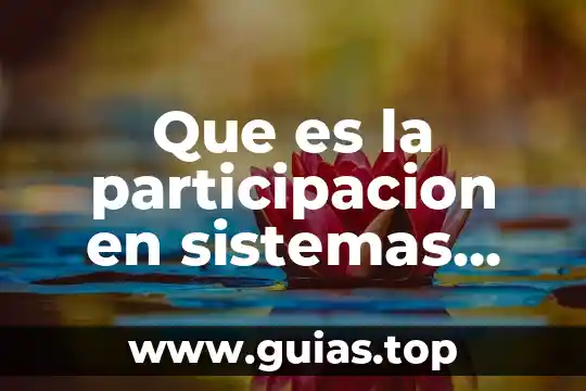 Consejo nacional de participación social en la educación que es 4 Que es la participacion en sistemas sociales