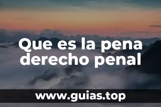 Que es el principio de oralidad en materia penal 4 Que es la pena derecho penal