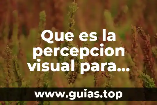 Que es la rietlno visual y los tipos que comprende 6 Que es la percepcion visual para niños
