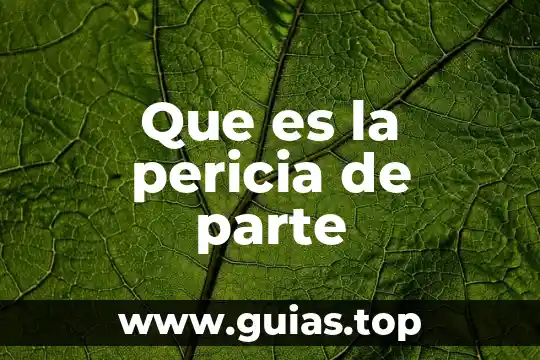 Materias no a otra parte especificaciones que es 4 Que es la pericia de parte