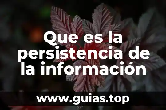 Por que es importante conocer los tipos de informaci贸n 5 Que es la persistencia de la informaci贸n