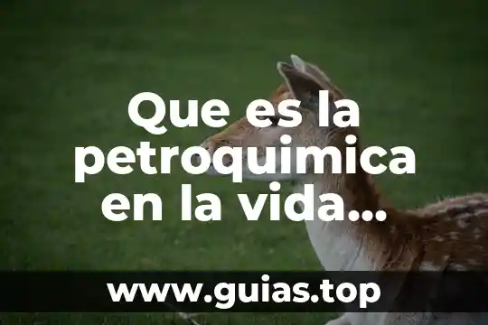 Análisis de qué es la vida filosofía 3 Que es la petroquimica en la vida diaria