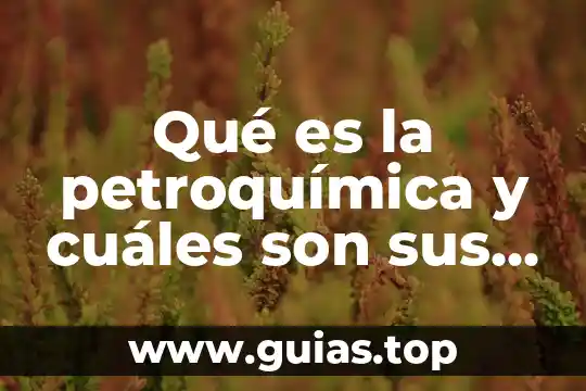 Que es democracia y cuales son los tipos de democracia 6 Qué es la petroquímica y cuáles son sus derivados
