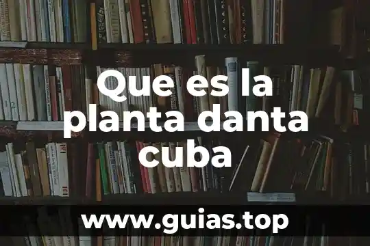 Prepositions of place and direction que es 7 Que es la planta danta cuba
