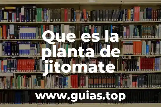 Quantum computing que es 7 Que es la planta de jitomate