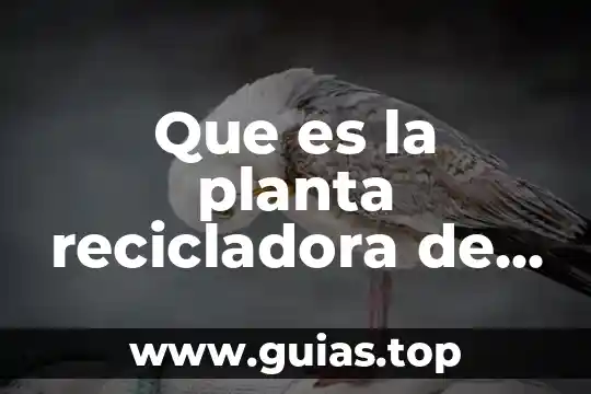 Que es temperatura del agua 5 Que es la planta recicladora de agua lerma