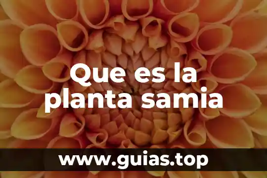 Planta muicle para que es 5 Que es la planta samia