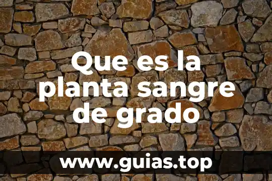 Que es un embrion en una planta 4 Que es la planta sangre de grado