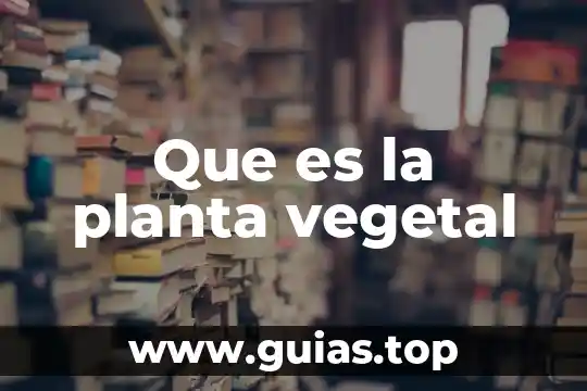 Que es la planta la vanda 5 Que es la planta vegetal