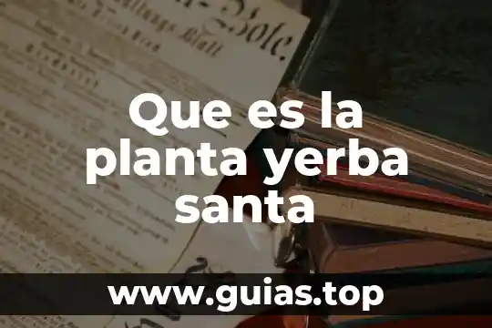 Qué es aptitud de una planta 3 Que es la planta yerba santa
