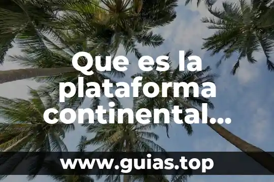 Que es un mapa a escala continental 8 Que es la plataforma continental para niños