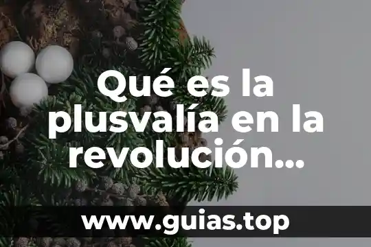 Qué es la revolución concepto 5 Qué es la plusvalía en la revolución industrial