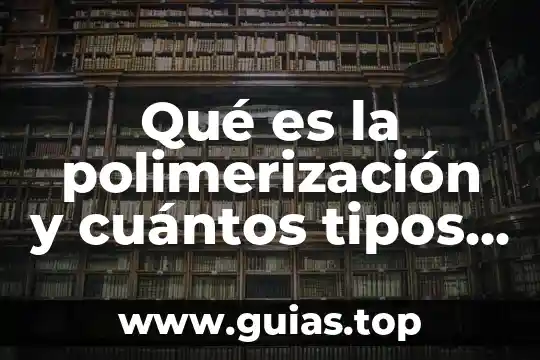 Que es turismo y cuantos tipos existen 3 Qué es la polimerización y cuántos tipos existen