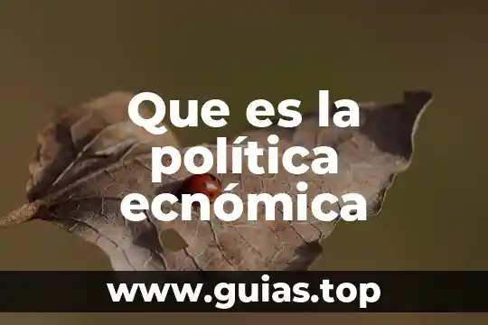 Que es un microorganismo en politica 3 Que es la política ecnómica