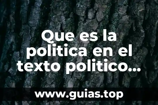 Que es texto especializados 3 Que es la politica en el texto politico de socrates