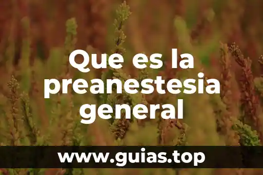 Qué es la escala general de los sonidos 5 Que es la preanestesia general