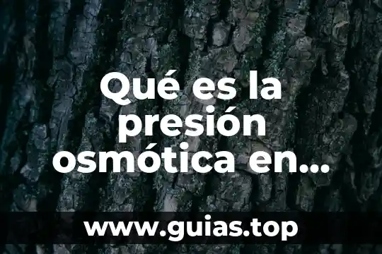 Que es la presión social en leyes 6 Qué es la presión osmótica en enfermeria