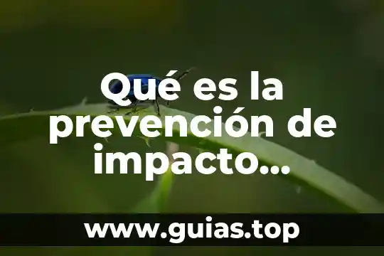 Que es la linea de fuego en prevencion 8 Qué es la prevención de impacto ambiental