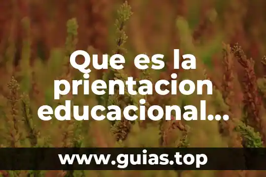 Qué es la escuela según la filosofía 4 Que es la prientacion educacional segun bisquerra