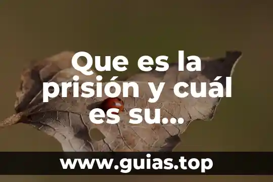 Qué es un número con signo 6 Que es la prisión y cuál es su fundamentación