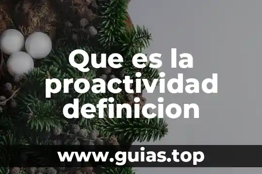 Qué es calibre definición 4 Que es la proactividad definicion