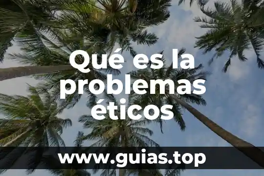 Qué es dilema éticos y profesional de ingeniero sistemas 5 Qué es la problemas éticos