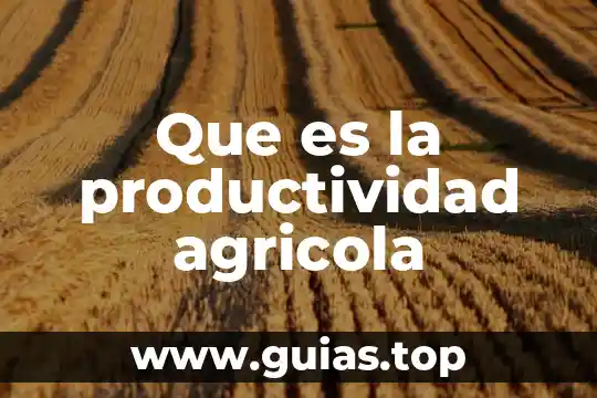 Qué es el DCS definición 6 Que es la productividad agricola