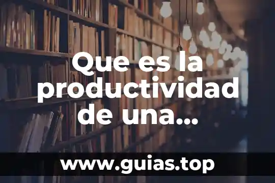 Que es recursos de costos 6 Que es la productividad de una empresa y los costos
